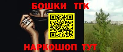 Альфа ПВП Новозыбков