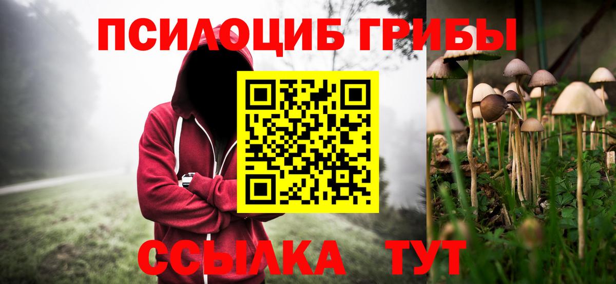 Галлюциногенные грибы Psilocybine cubensis  Вход с VPN  Советская Гавань 