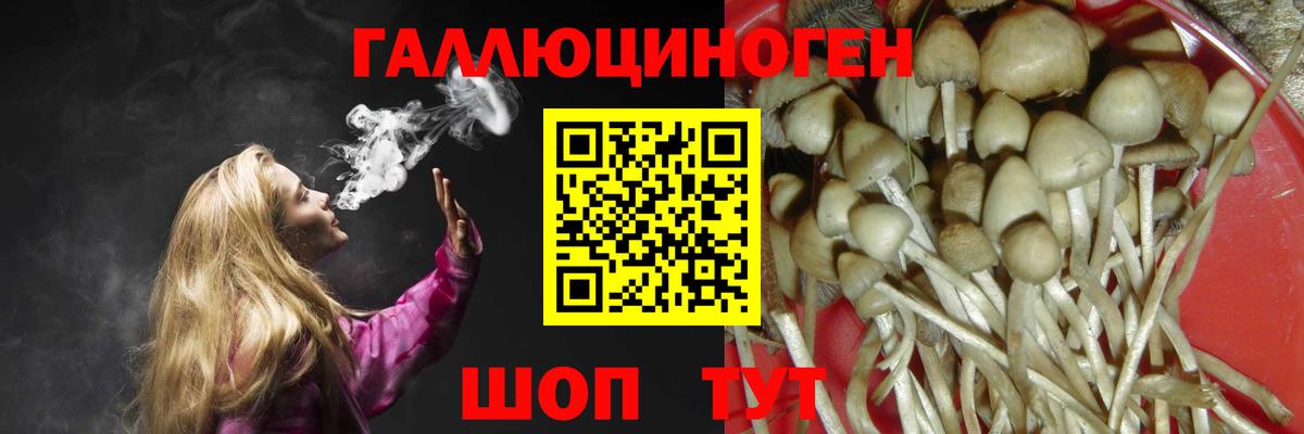 Галлюциногенные грибы GOLDEN TEACHER Советская Гавань
